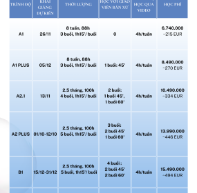 C&Aacute;C KH&Oacute;A HỌC TIẾNG PHẦN V&Agrave; HỌC PH&Iacute; 